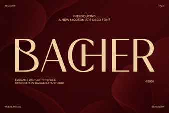 Bacher Font: Bold Design for Creative Projects